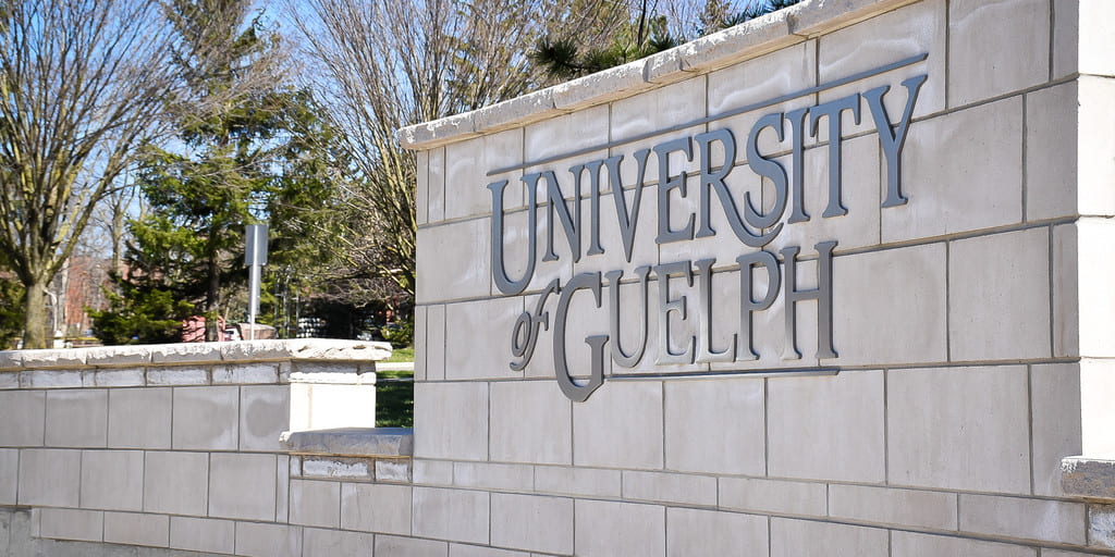 a white large brick half wall with "University of Guelph in silver lettering on it. trees are in the background.