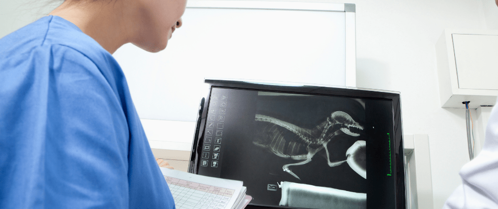 Image of a person in blue scrubs reviewing a black and white x-ray on the computer.