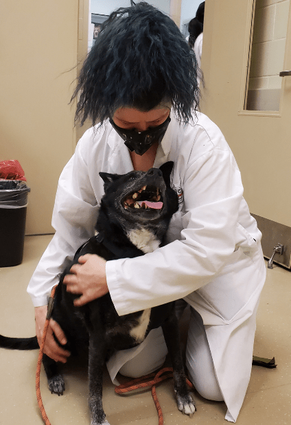 Cute black dog (Reggie) snuggling with OVC veterinarian. 