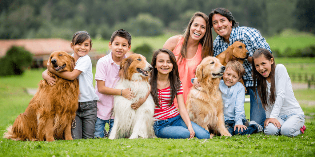 Image of a family outside with 4 dogs